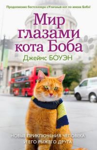 Джеймс Боуэн - Мир глазами кота Боба